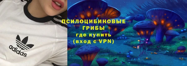 МДПВ Няндома