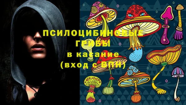 мяу мяу мука Бежецк