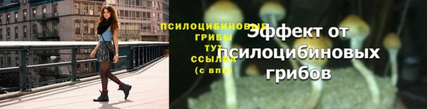 МДПВ Няндома