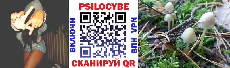 Галлюциногенные грибы Psilocybine cubensis  цены   Тетюши 